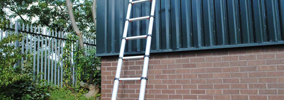 Ladder